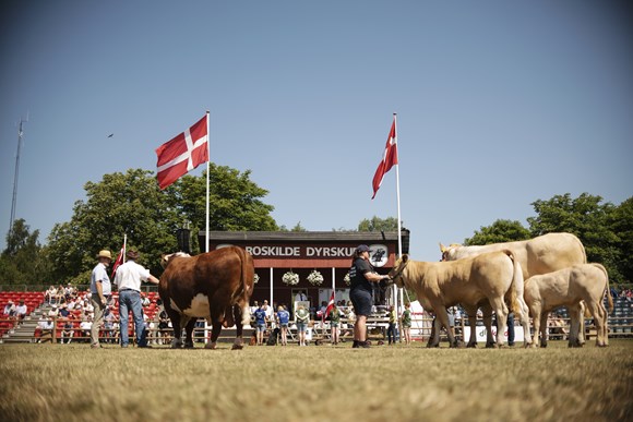 _DSC0247foto_jakobvind.jpg