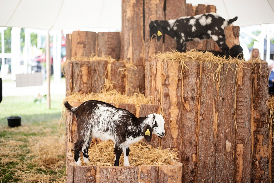 DSC5790 Foto Jakobvind