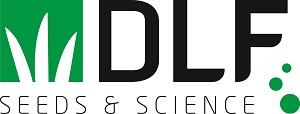 DLF