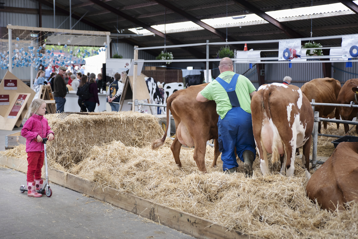 DSC4533 Foto Jakobvind