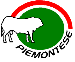Piemontese