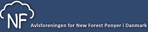 Avlsforeningen for New Forest ponyer