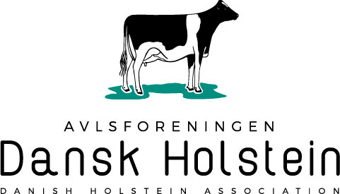 Dansk Holstein