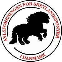 Avlsforeningen for Shetlandsponyer
