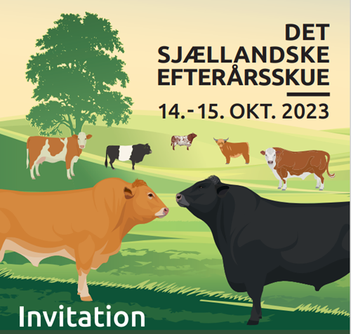Skærmbillede 2023 07 05