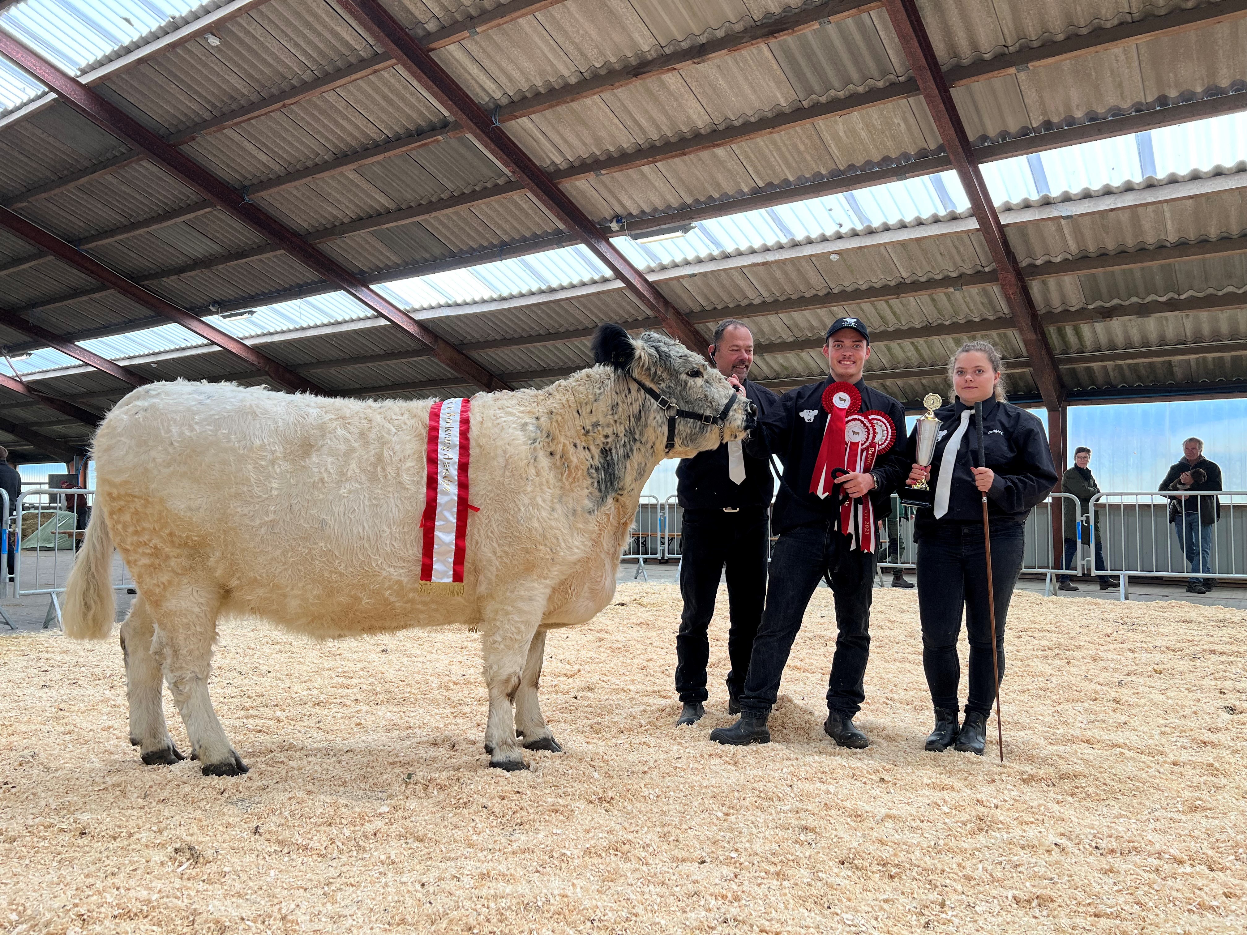 Dalbjerg Rasmine. 24p. Ærespræmie Bedste Galloway. Vinder af interbreed efterårsskuet 2023. Familien Dalbjerg: Anders, Pernille, og Gert Dalbjerg