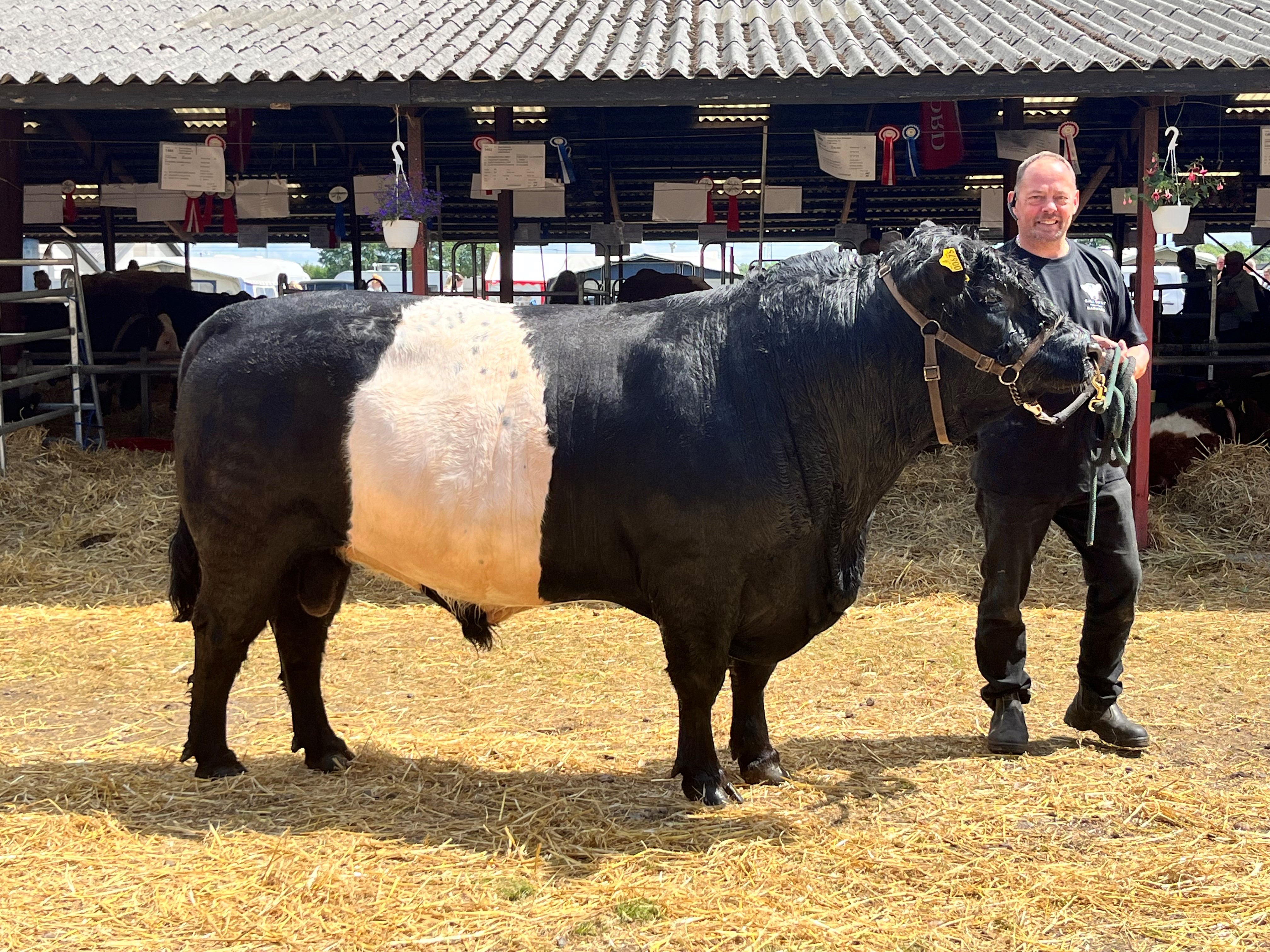 Dalbjerg Vollbeet.  23 p Ærespræmie.  Bedste galloway tyr. Bedste galloway Roskilde dyrskue 2023. Han er blevet indsat på tyrestation til tapning, han bliver godkendt i 40 forskellige lande
