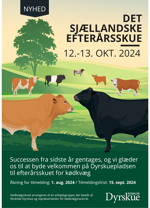 Efterårsskuet Billede