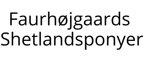 Faurhøjgaards Shetlandsponyer