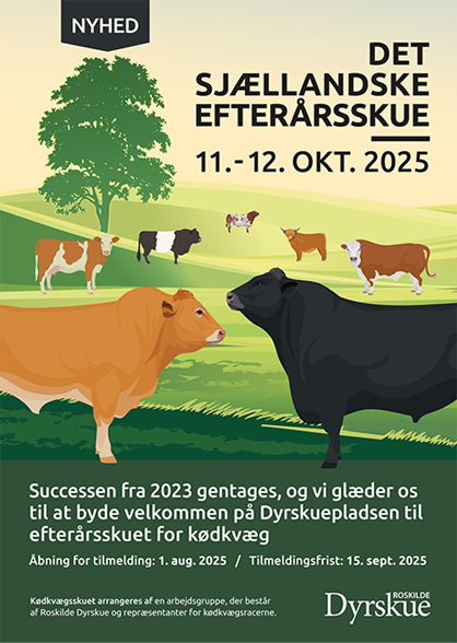 Efterårsskue 2025