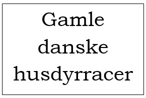 Gamle danske husdyrracer
