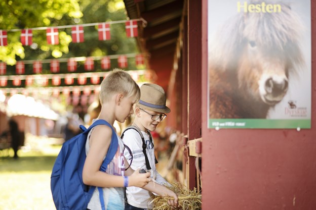 DSC9114 Foto Jakobvind Websize