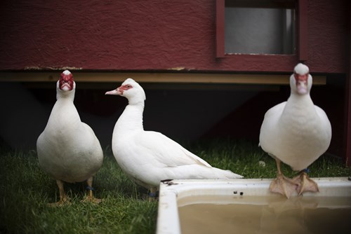 DSC4789 Foto Jakobvind