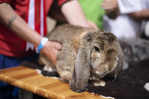 DSC5746 Foto Jakobvind