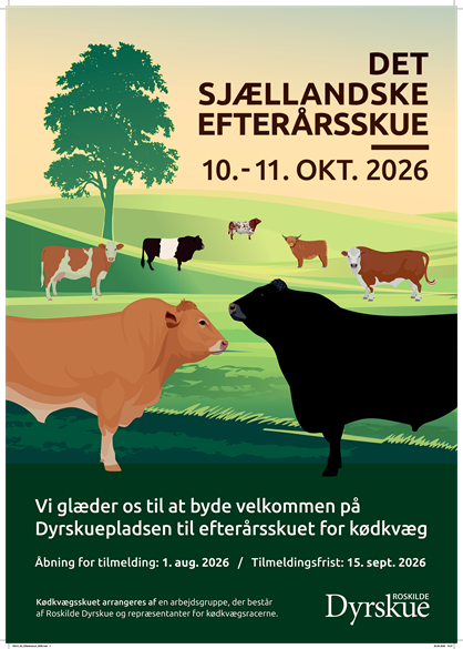 Plakat 2026