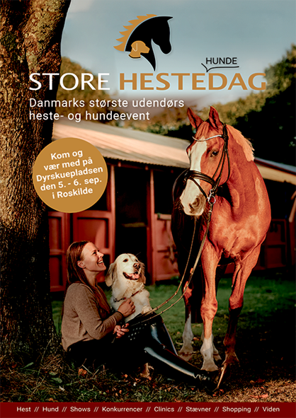 Storehestedag Plakat Godkendt